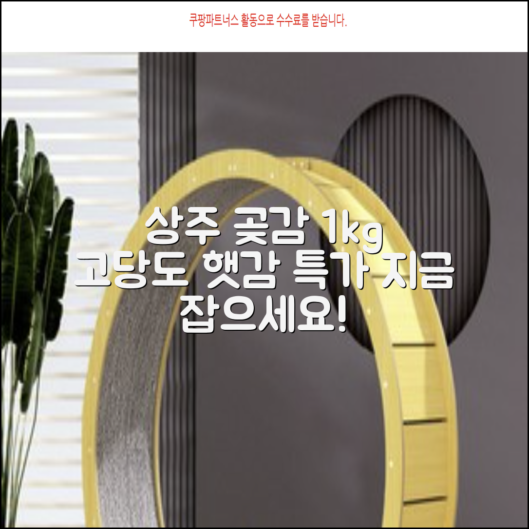 상주 곶감 초특가 1kg 고당도 햇감, 1개 추천 리뷰