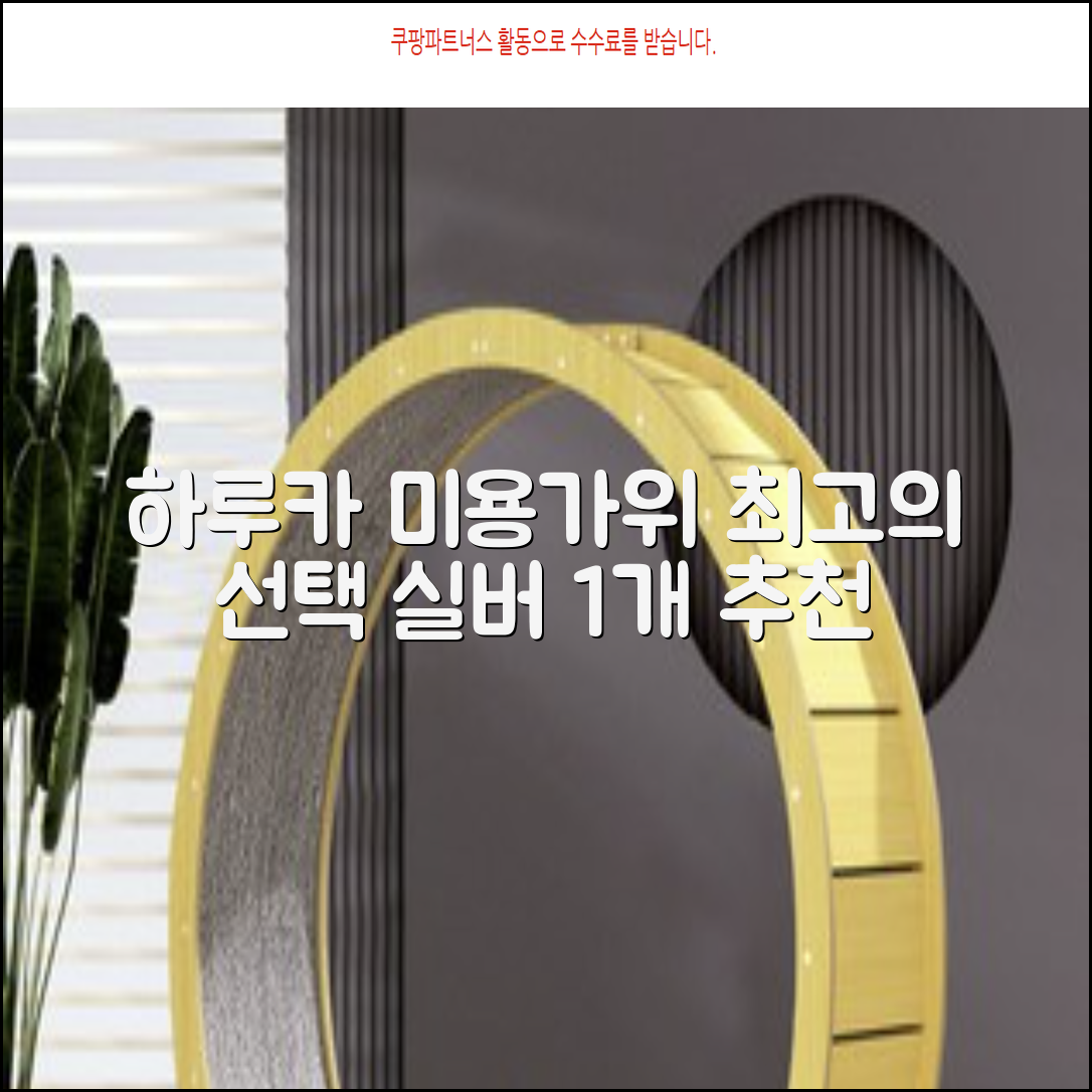 하루카 미용가위 세트, 실버, 1개 추천 리뷰