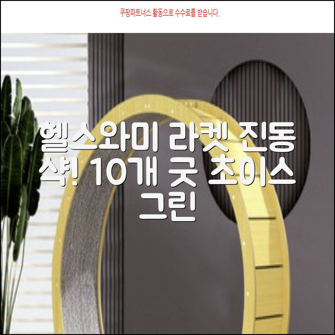 헬스와미 5개 10개몪음 테니스 라켓 진동 방지 댐퍼 고무링 충격 흡수, 10개, 그린 추천 리뷰