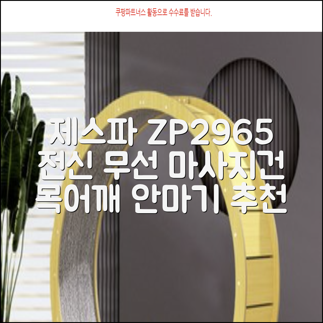 제스파 클래식 전신 무선 자동 마사지건 목어깨 안마기 ZP2965, 블랙 + 로즈골드 추천 리뷰