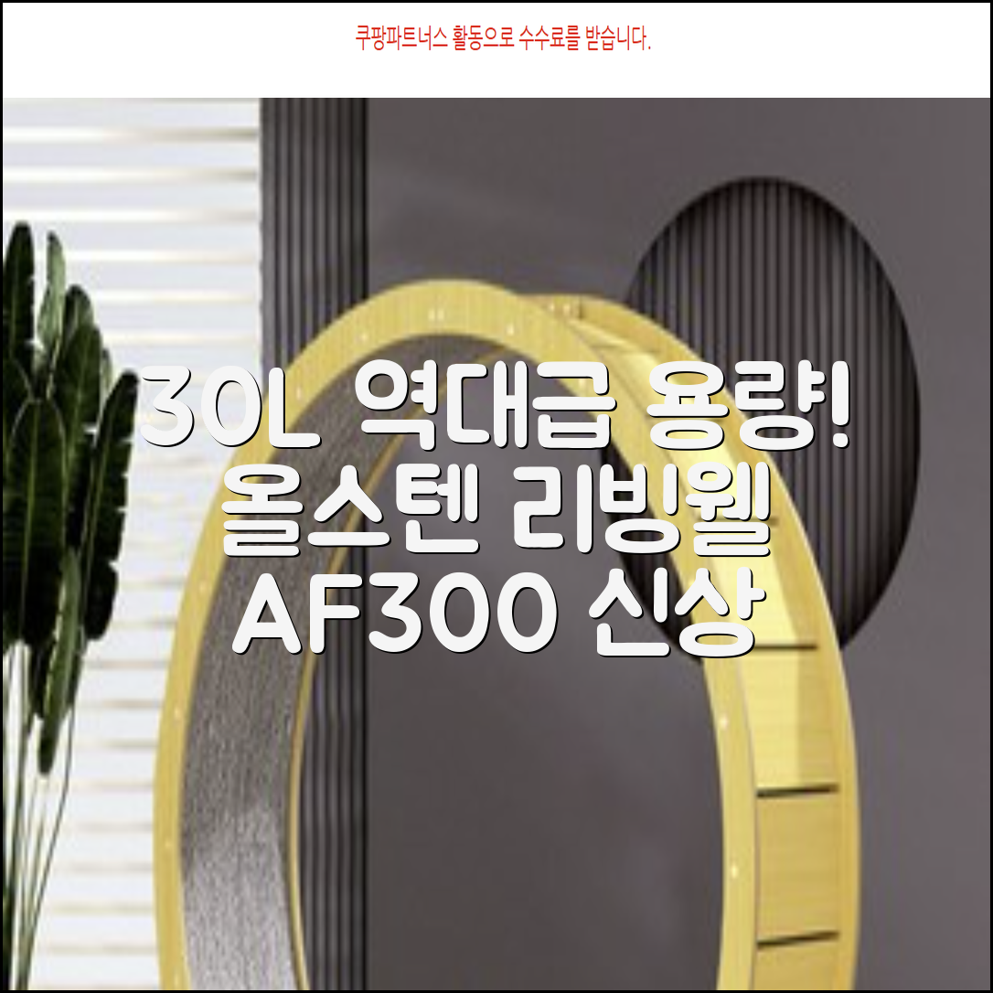[최신형]리빙웰 30L 특대용량 신제품 올스텐 에어프라이어 AF300 추천 리뷰