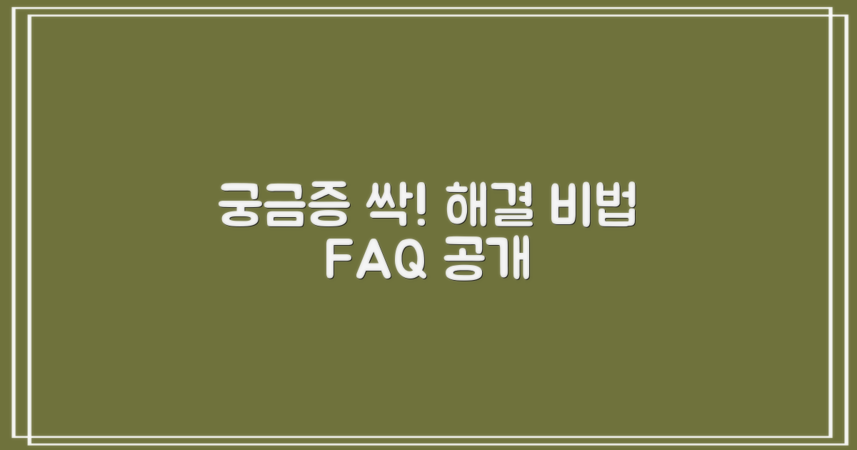자주 묻는 질문