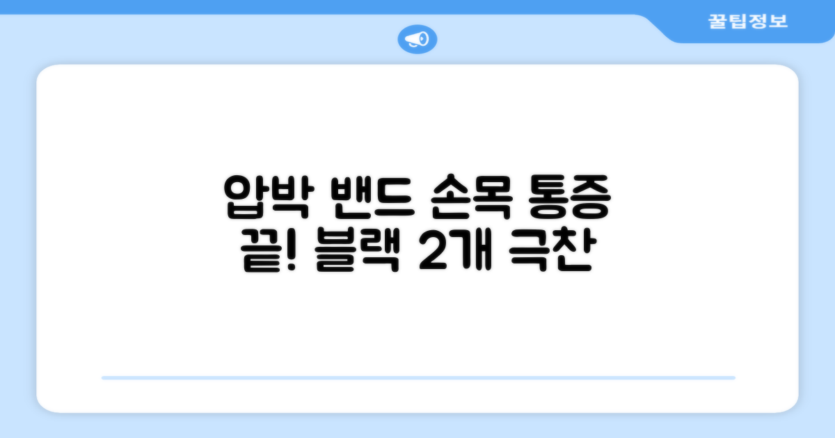 라인벨라 의료용 손목 압박용 밴드 블랙, 2개 추천 리뷰