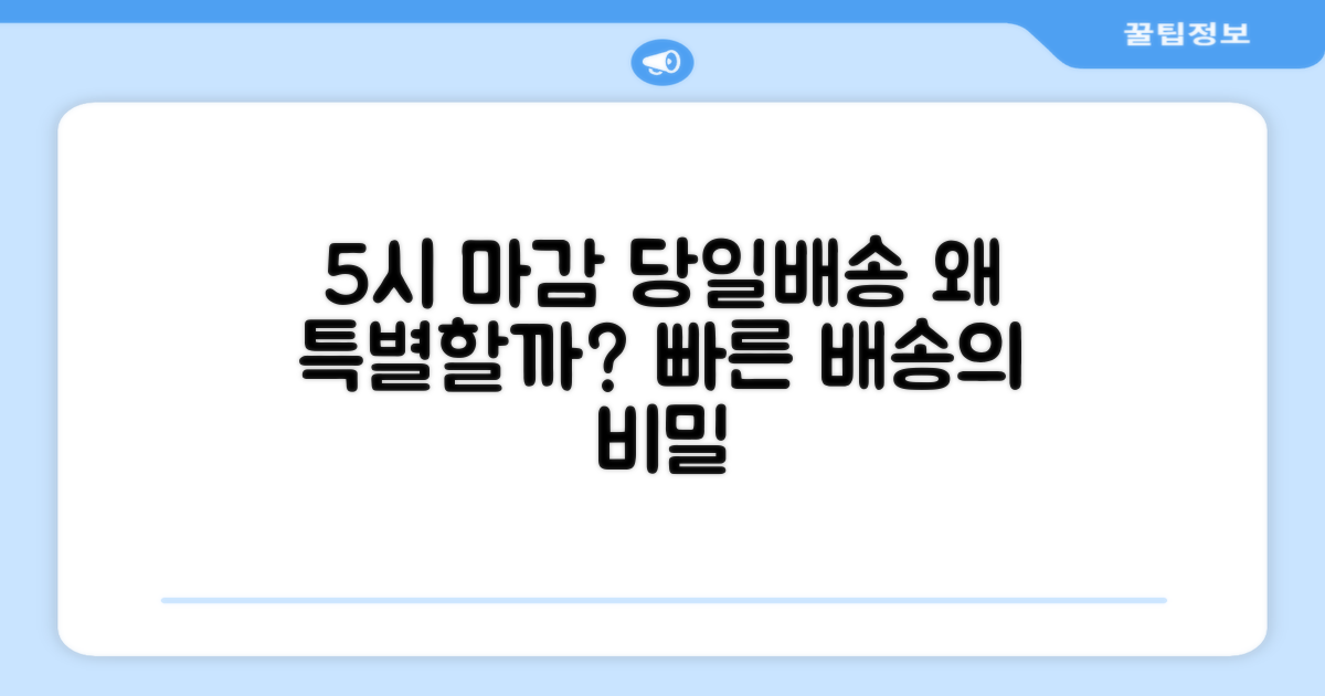 5시건 당일배송, 왜 특별한가?