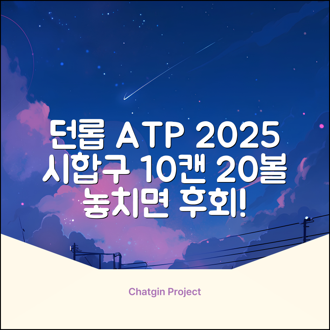 2025 던롭 ATP 테니스공 10캔 (20볼) 시합구, 던롭 ATP볼 10캔 (20볼), 10세트 추천 리뷰