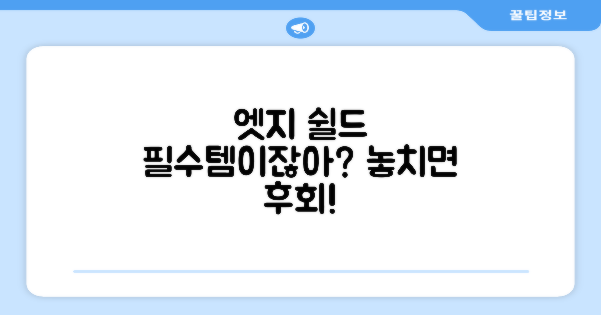 엣지 쉴드, 당신의 필수템!