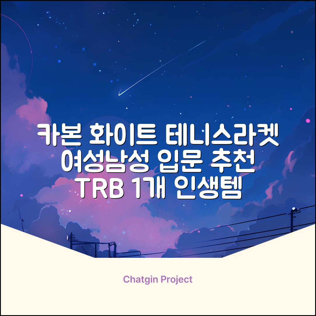 티알비 입문용 테니스라켓 여성 남자, 1개, 카본 화이트 추천 리뷰