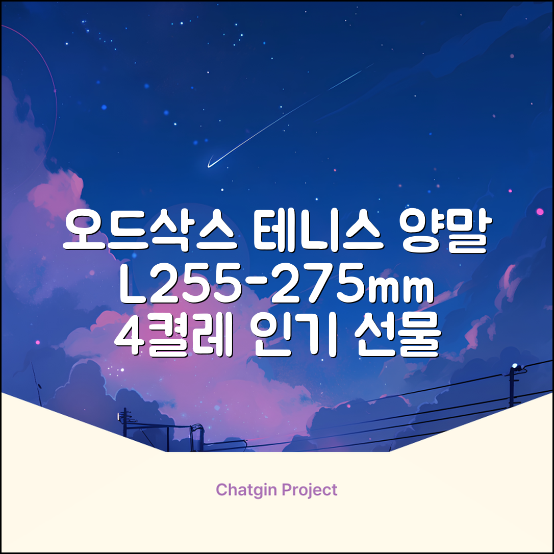 [오드삭스] 테니스 양말 세트B 4켤레 선물용, L(255mm-275mm), 1개 추천 리뷰