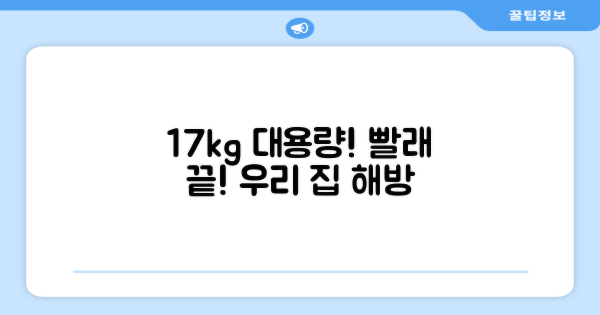 17kg 대용량, 우리 집 빨래 해방