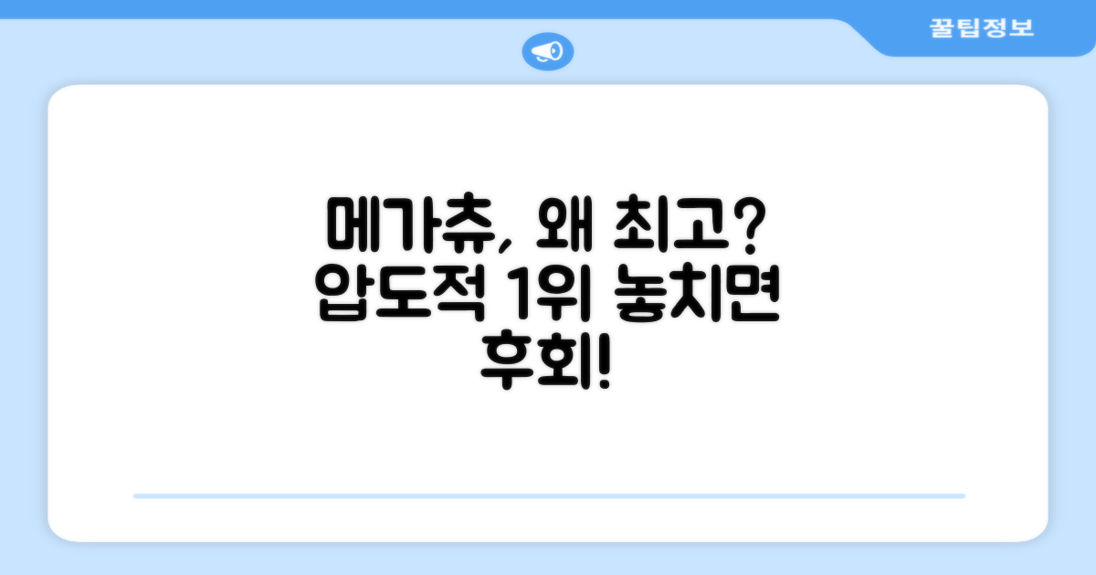 왜 메가츄가 최고일까?