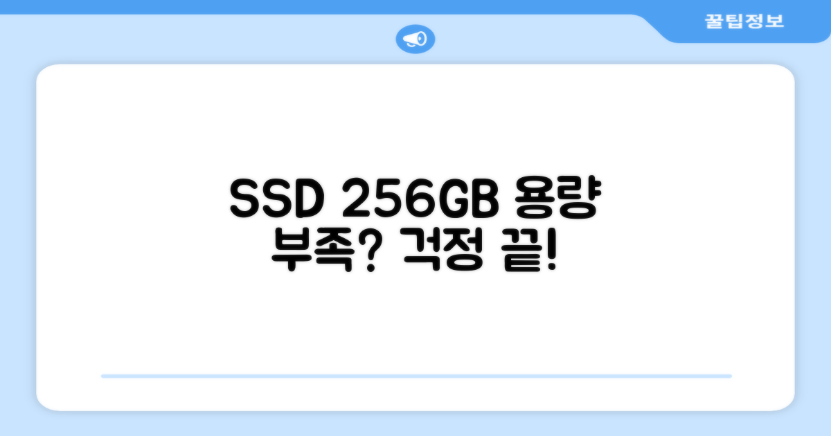 256GB SSD, 저장 공간 고민