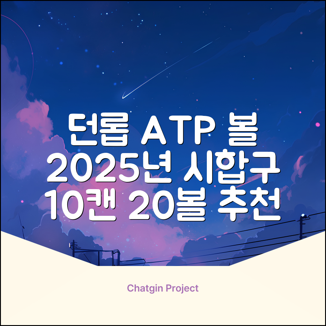 2025 던롭 ATP 테니스공 10캔 (20볼) 시합구, 던롭 ATP볼 10캔 (20볼), 10세트 추천 리뷰