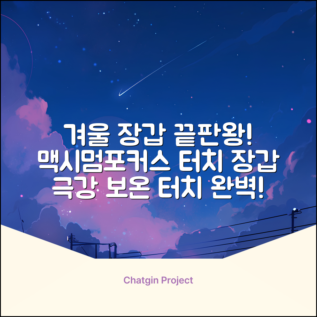 맥시멈포커스 스마트폰 터치 겨울 방한장갑 추천 리뷰