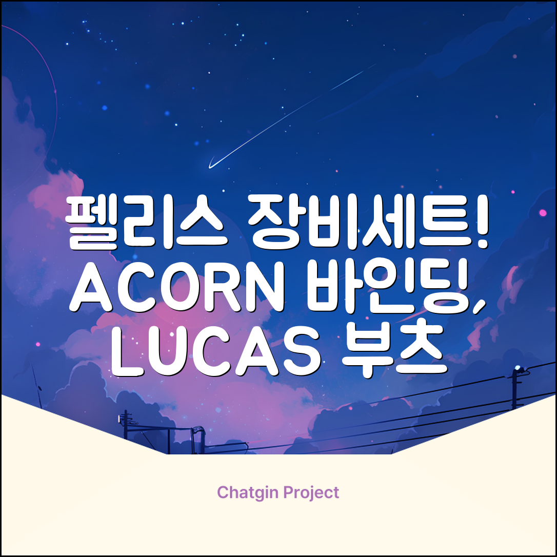 FELICE 장비세트6 ACORN데크 바인딩 LUCAS부츠, WESTSIDE 레드154+바인딩M, 1개 추천 리뷰