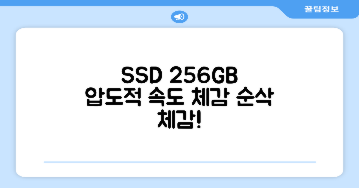 256GB SSD 속도 체감