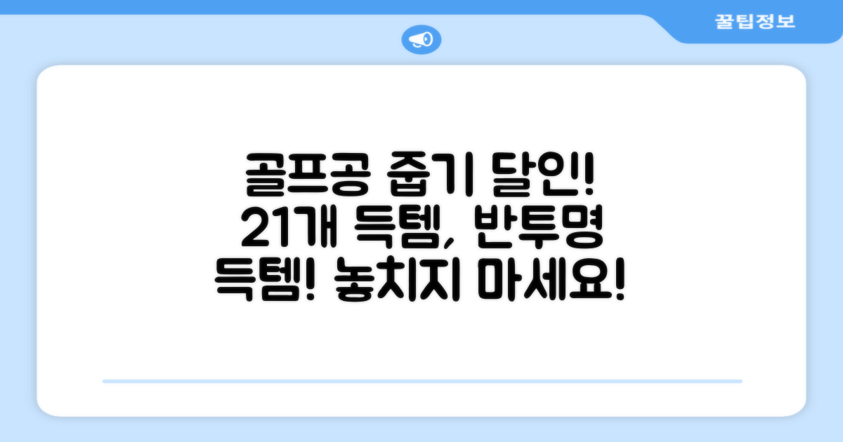 골프공 픽업기 줍기 회수기 수집기 수거기 공21개, 반투명, 1개 추천 리뷰