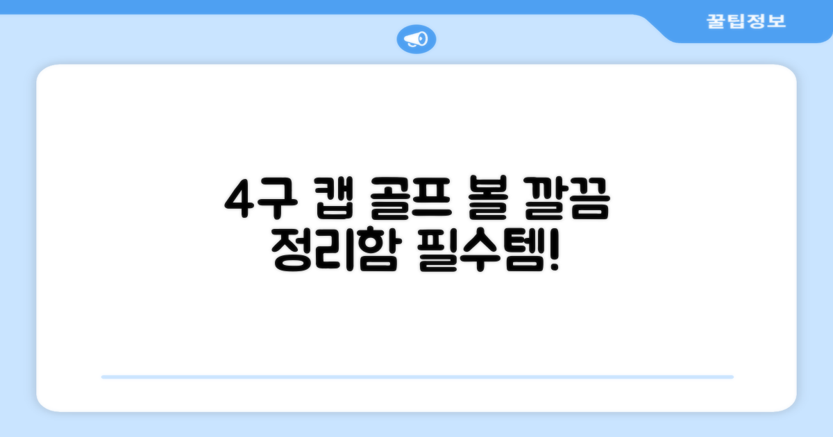 4구 캡 골프 볼 정리함