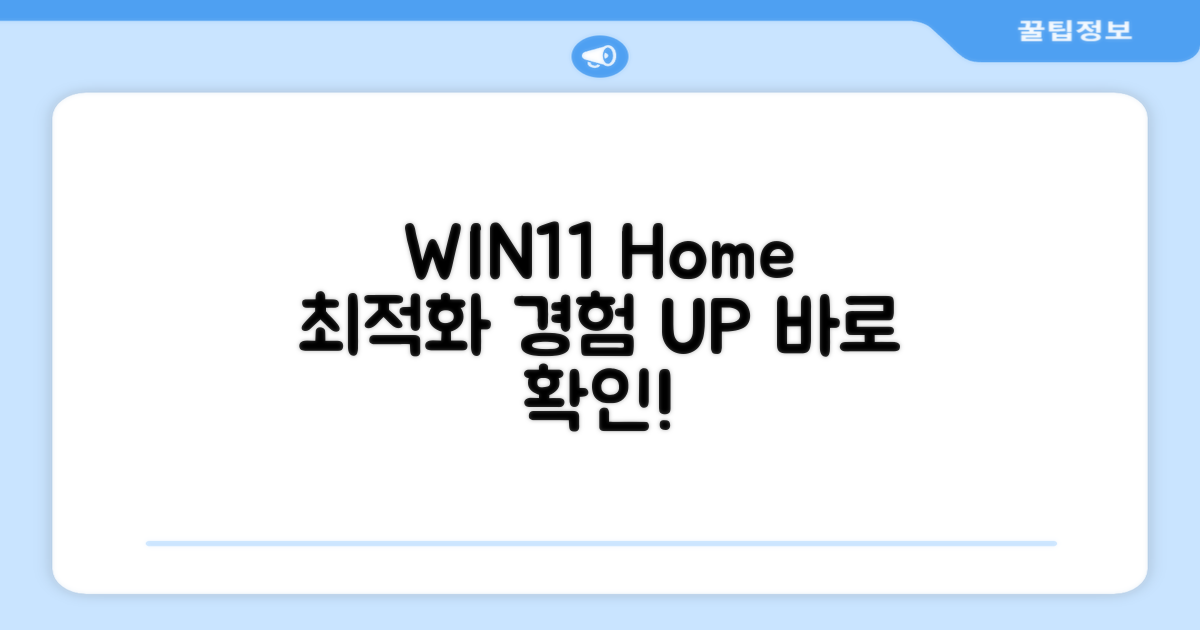 WIN11 Home, 최적화 경험