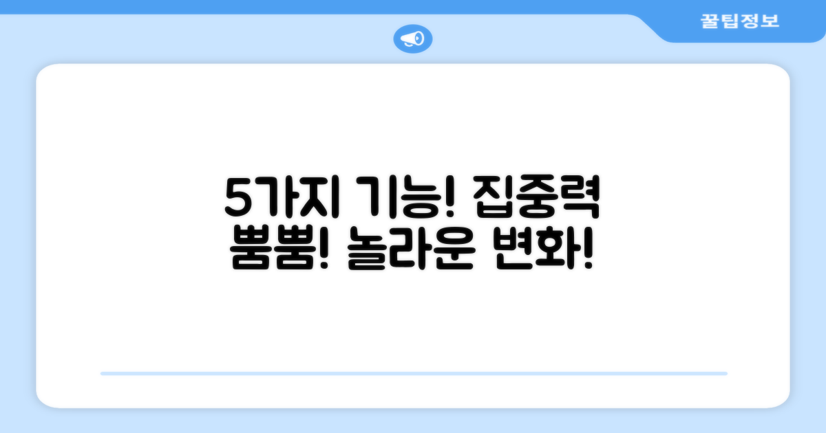 5가지 기능성 집중