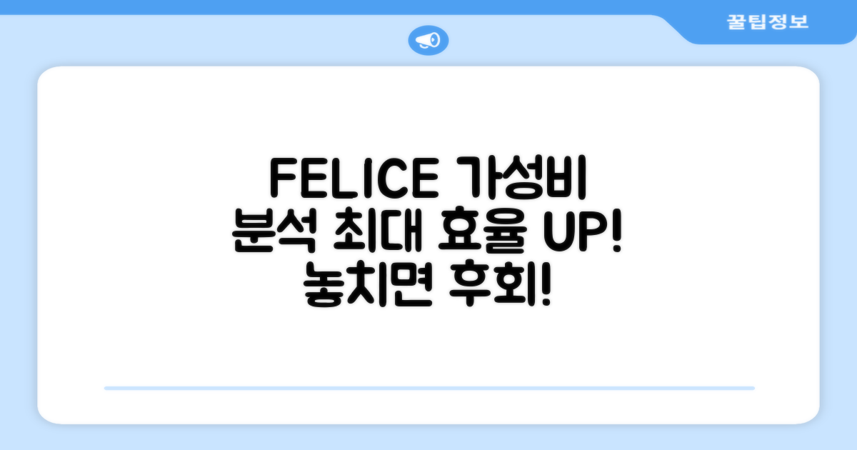 FELICE 세트: 가성비 분석