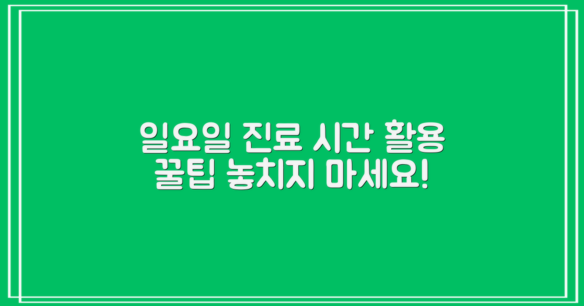 일요일 진료, 시간 활용 팁