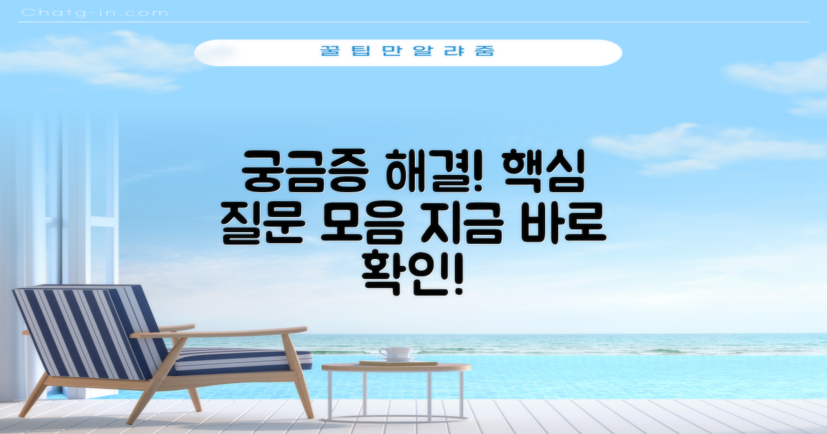 자주 묻는 질문