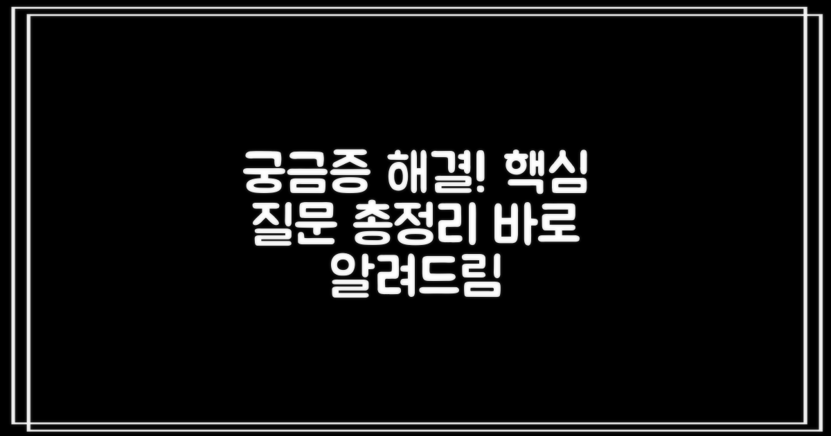 자주 묻는 질문