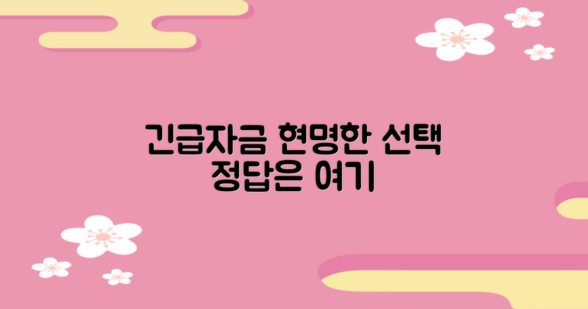 긴급 자금, 현명한 선택 가이드