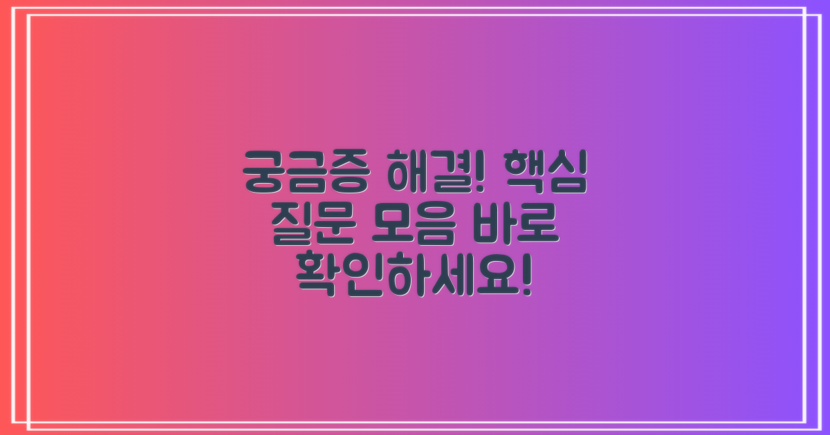 자주 묻는 질문