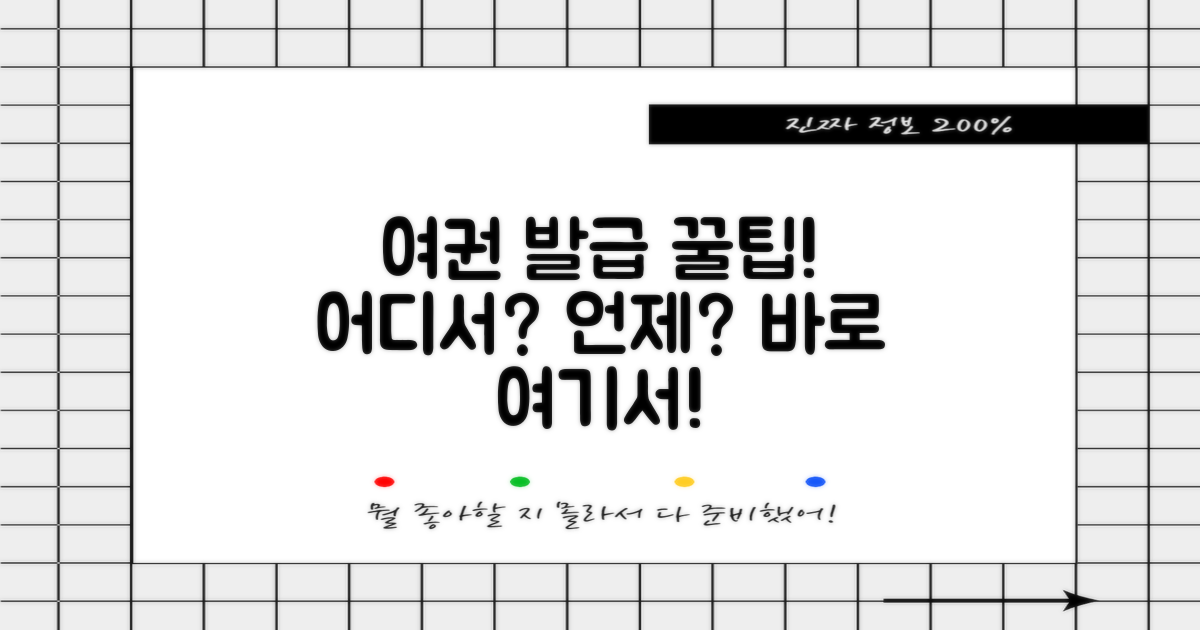 여권 발급, 어디서 받죠?